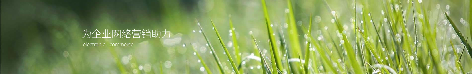 ݸвܽϿƼ޹˾